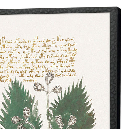Set Of Four Magical Botany Black Framed Wall Art HomeRoots