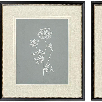 Set Of Two Nature's Gift I Black Framed Wall Art HomeRoots