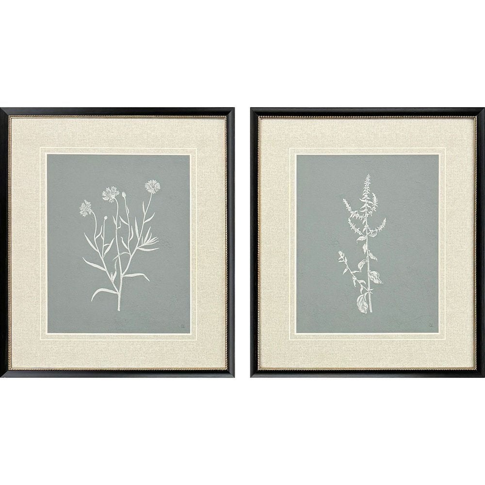 Set Of Two Nature's Gift II Black Framed Wall Art HomeRoots