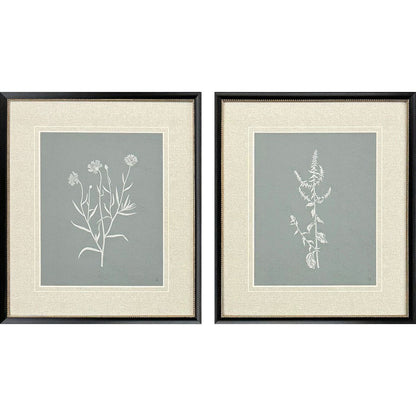 Set Of Two Nature's Gift II Black Framed Wall Art HomeRoots