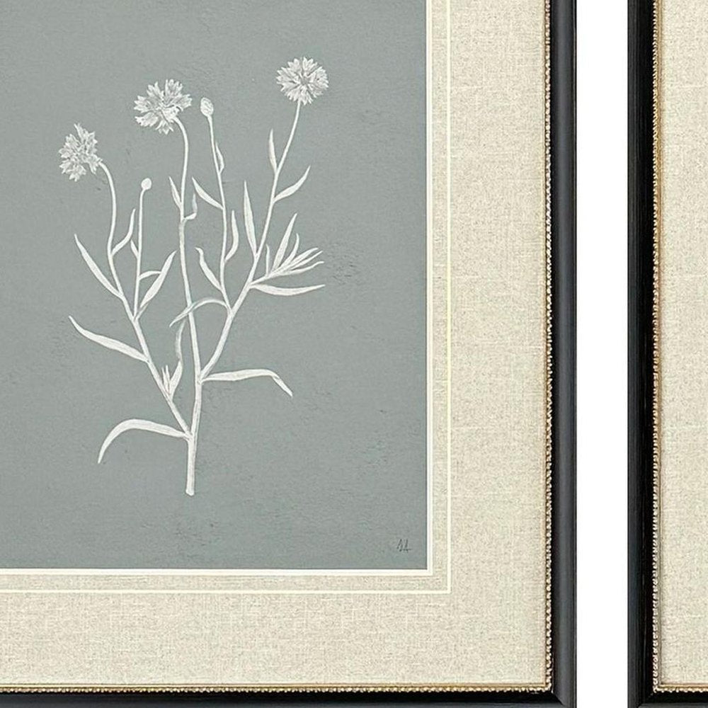 Set Of Two Nature's Gift II Black Framed Wall Art HomeRoots