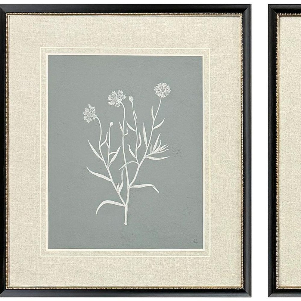 Set Of Two Nature's Gift II Black Framed Wall Art HomeRoots