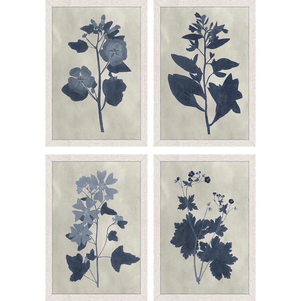 Set Of Four Pressed Flower II Distressed White Framed Wall Art HomeRoots