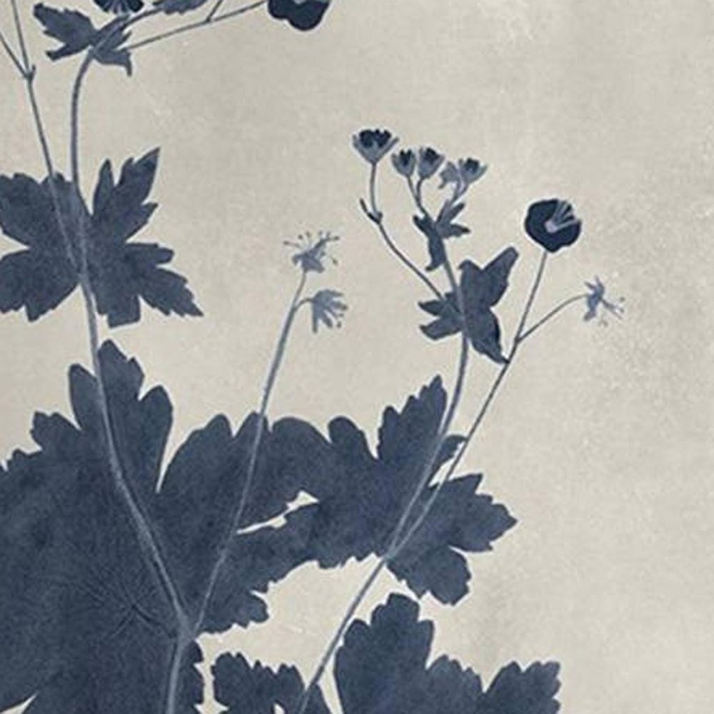 Set Of Four Pressed Flower II Distressed White Framed Wall Art HomeRoots