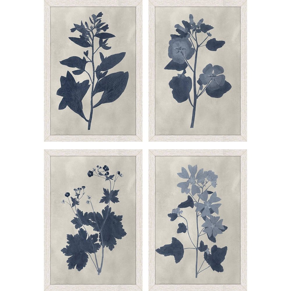 Set Of Four Pressed Flower II Distressed White Framed Wall Art HomeRoots
