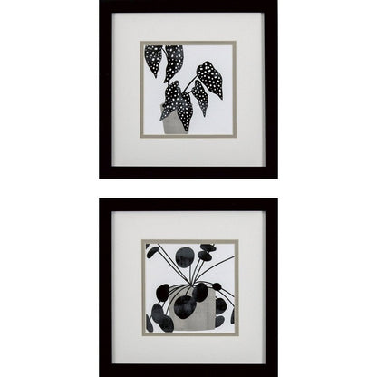 Set Of Two Plantling B Black Framed Wall Art HomeRoots
