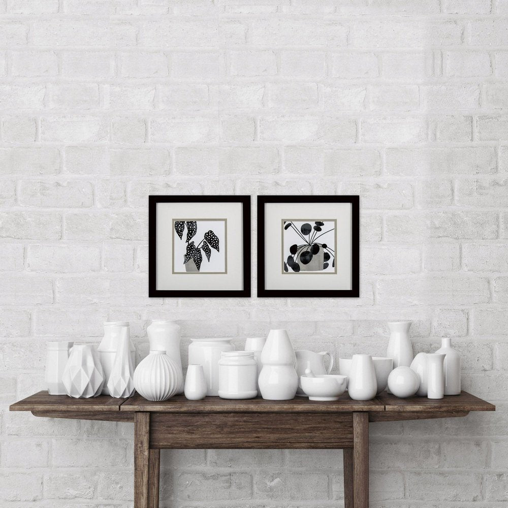 Set Of Two Plantling B Black Framed Wall Art HomeRoots