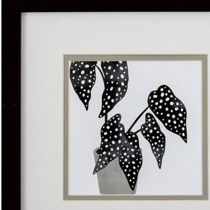Set Of Two Plantling B Black Framed Wall Art HomeRoots