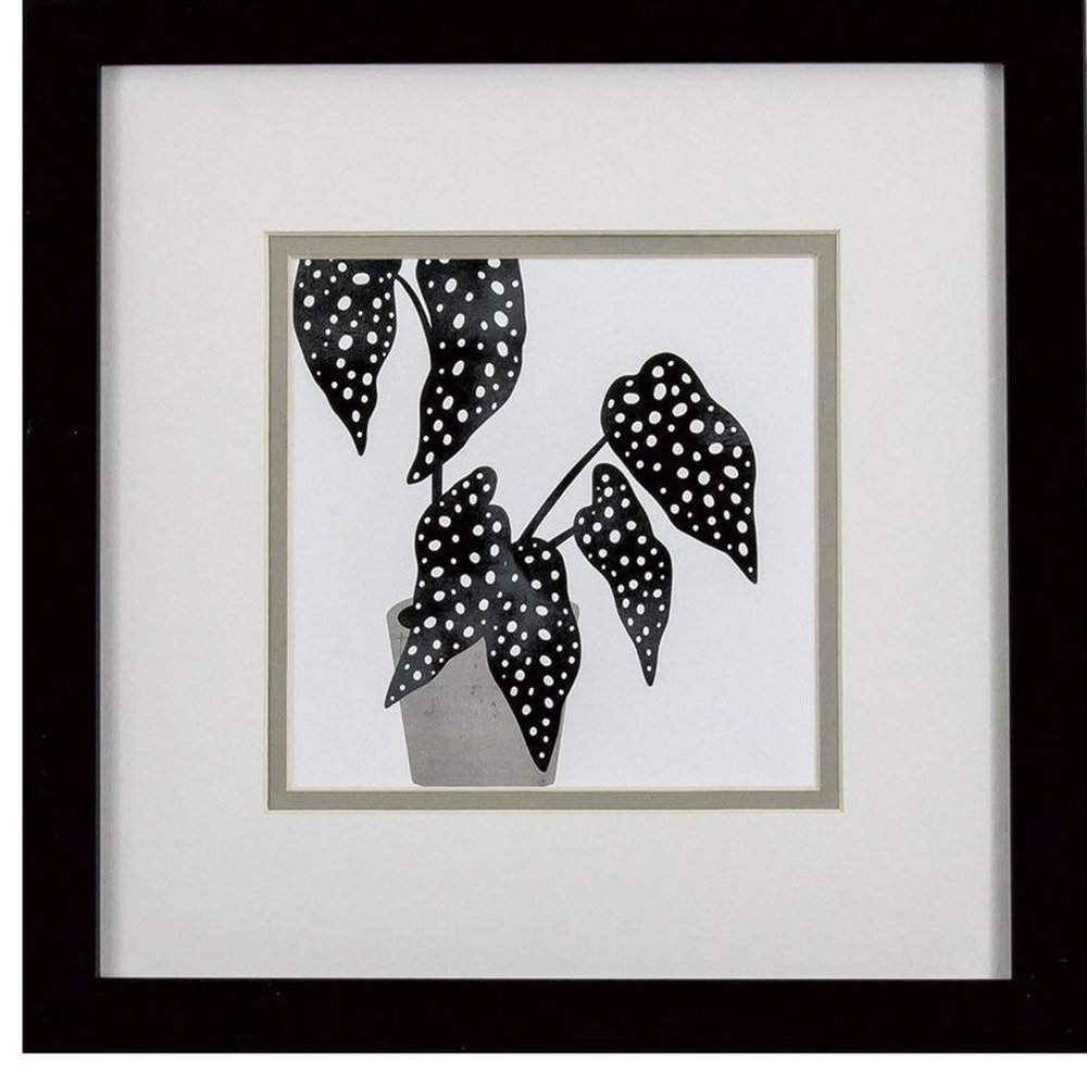 Set Of Two Plantling B Black Framed Wall Art HomeRoots