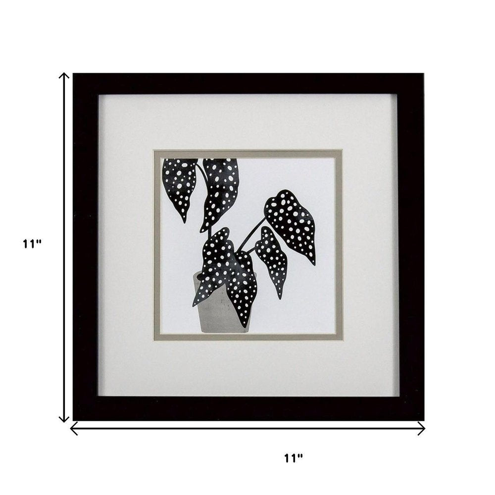 Set Of Two Plantling B Black Framed Wall Art HomeRoots