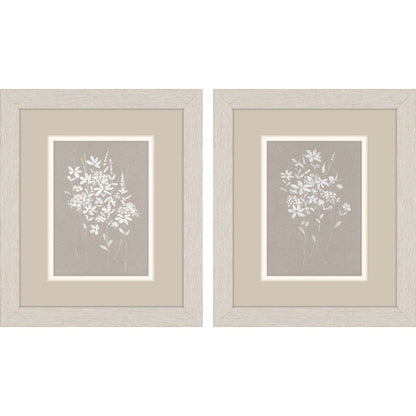 Set Of Two Delicate Botanicals Distressed White Framed Wall Art HomeRoots