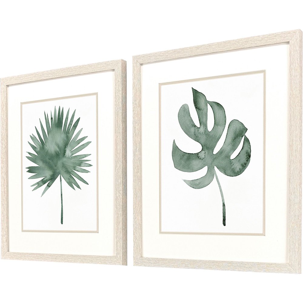 Set Of Two Plant Press Distressed White Framed Wall Art