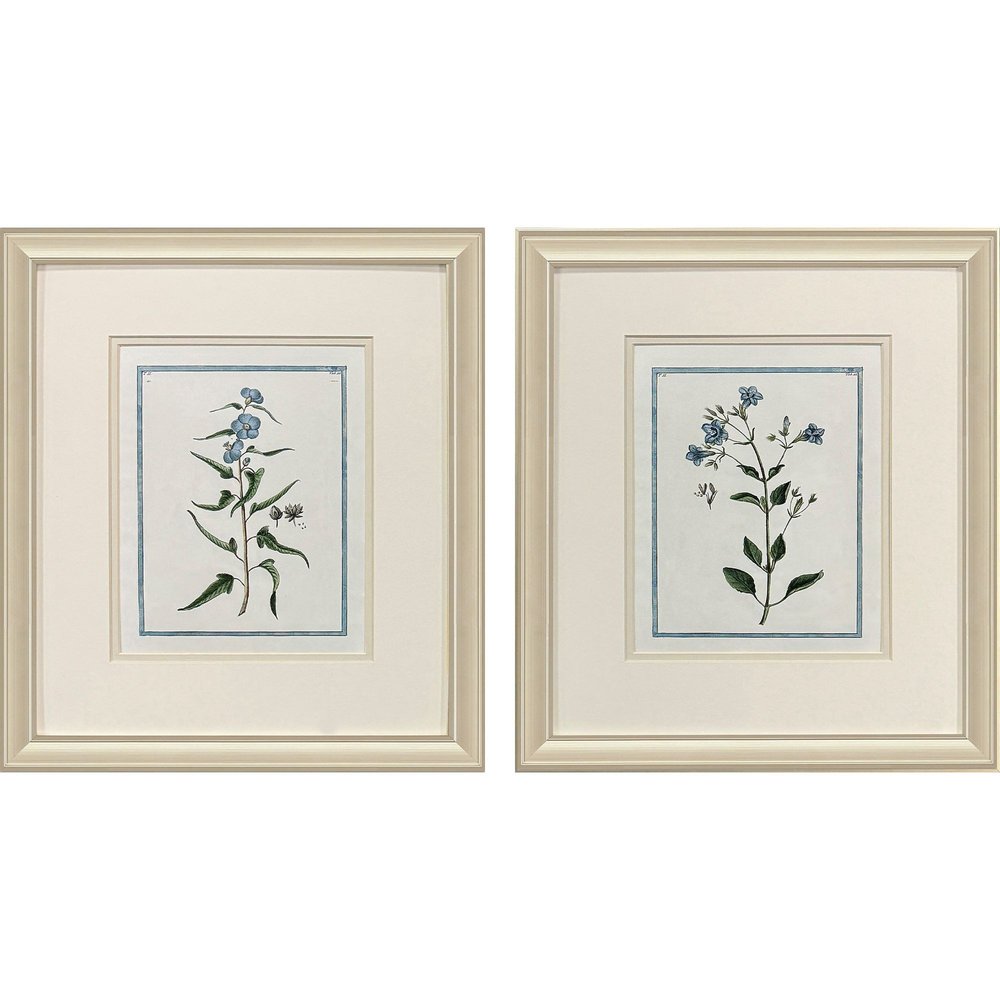 Set Of Two Shabby Chic Botanical Gold Framed Wall Art HomeRoots