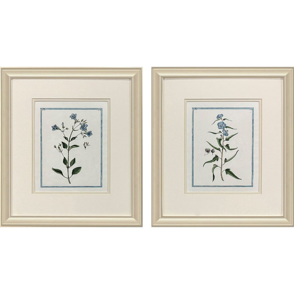 Set Of Two Shabby Chic Botanical Gold Framed Wall Art