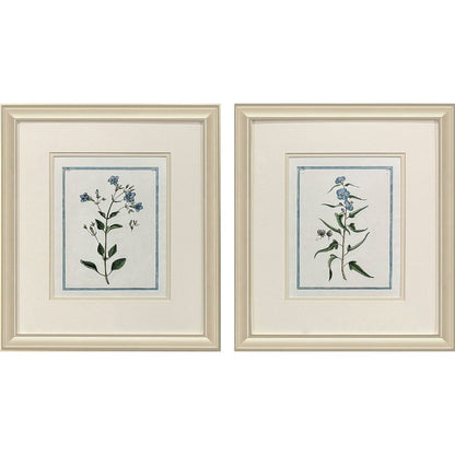 Set Of Two Shabby Chic Botanical Gold Framed Wall Art