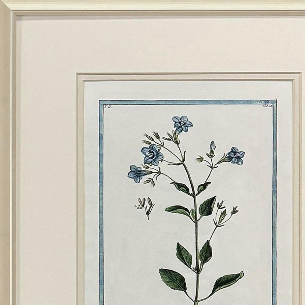 Set Of Two Shabby Chic Botanical Gold Framed Wall Art