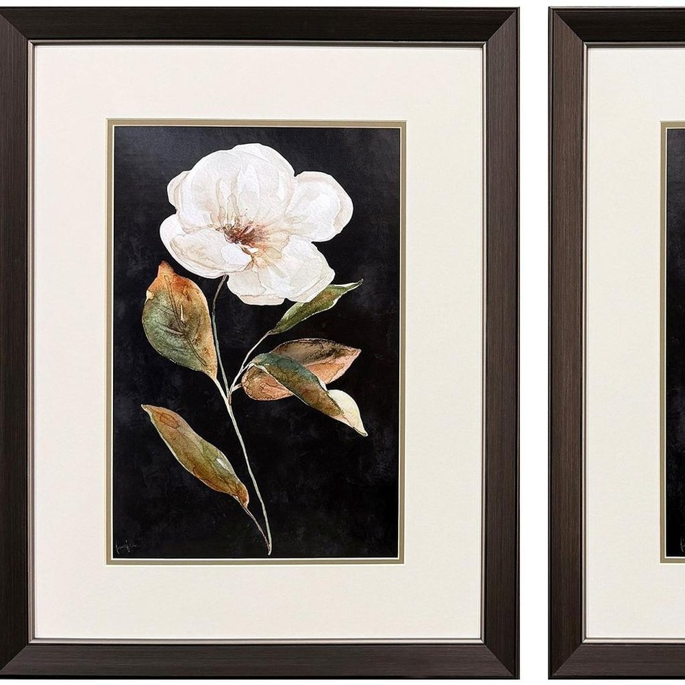 Set Of Two Botanical on Black Brown Framed Wall Art HomeRoots