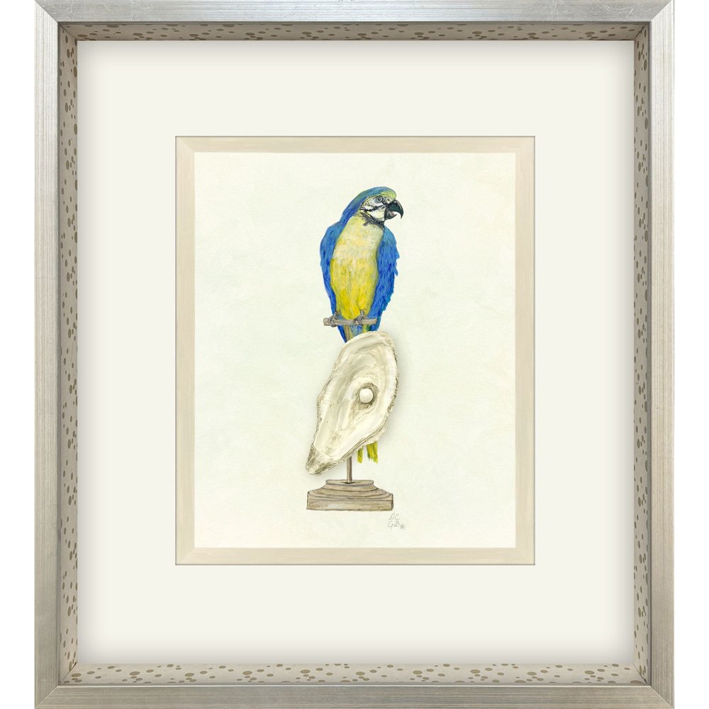 Treasure Parrot I Silver Shadowbox Illustration Wall Art HomeRoots