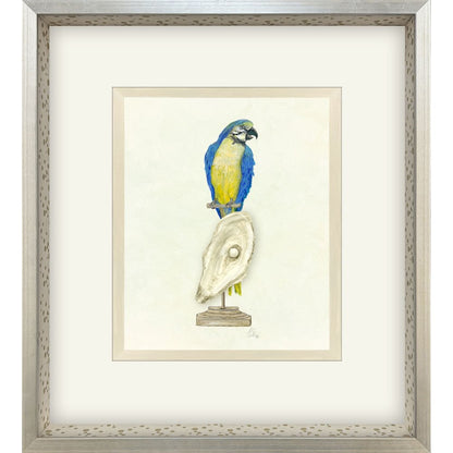 Treasure Parrot I Silver Shadowbox Illustration Wall Art HomeRoots