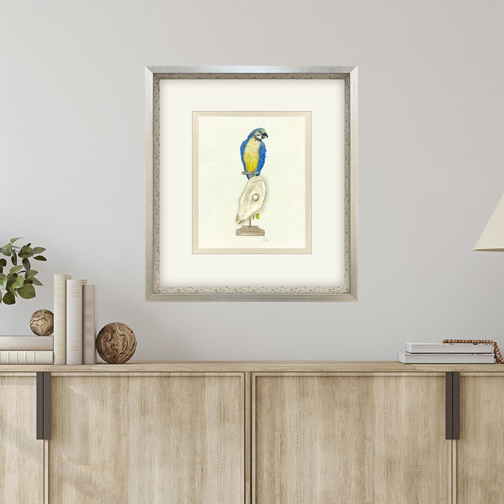 Treasure Parrot I Silver Shadowbox Illustration Wall Art HomeRoots