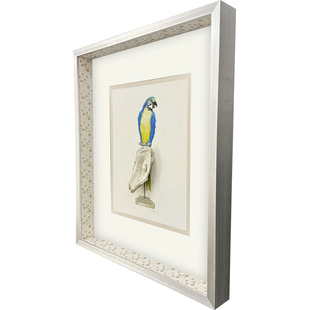 Treasure Parrot I Silver Shadowbox Illustration Wall Art HomeRoots