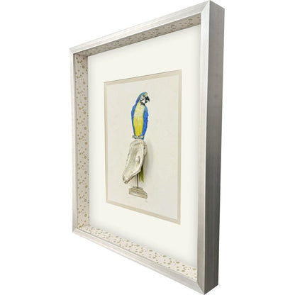 Treasure Parrot I Silver Shadowbox Illustration Wall Art HomeRoots