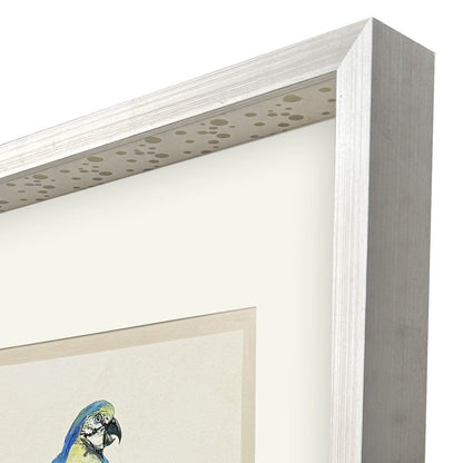 Treasure Parrot I Silver Shadowbox Illustration Wall Art HomeRoots
