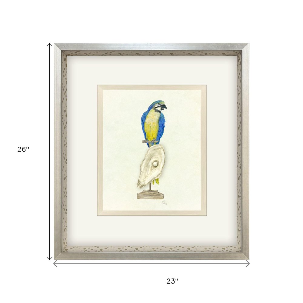 Treasure Parrot I Silver Shadowbox Illustration Wall Art HomeRoots