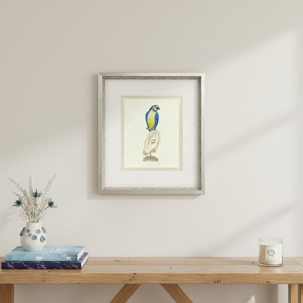Treasure Parrot I Silver Shadowbox Illustration Wall Art HomeRoots