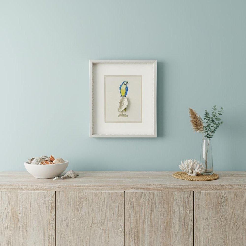 Treasure Parrot I Silver Shadowbox Illustration Wall Art HomeRoots