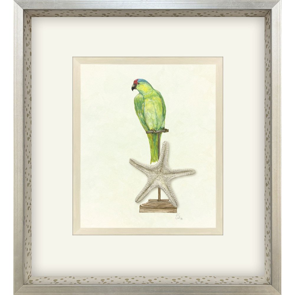 Treasure Parrot II Silver Shadowbox Illustration Wall Art HomeRoots