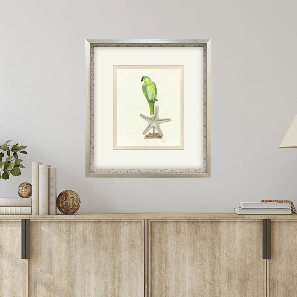 Treasure Parrot II Silver Shadowbox Illustration Wall Art HomeRoots