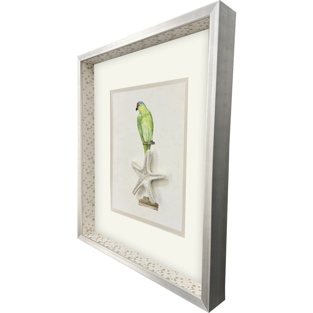 Treasure Parrot II Silver Shadowbox Illustration Wall Art HomeRoots