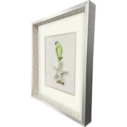 Treasure Parrot II Silver Shadowbox Illustration Wall Art HomeRoots