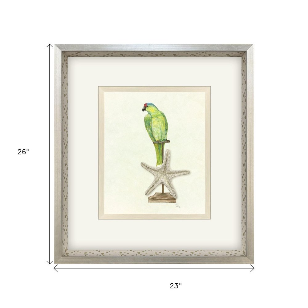 Treasure Parrot II Silver Shadowbox Illustration Wall Art HomeRoots