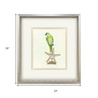 Treasure Parrot II Silver Shadowbox Illustration Wall Art HomeRoots