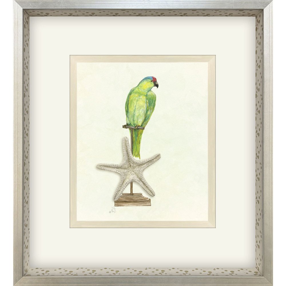 Treasure Parrot II Silver Shadowbox Illustration Wall Art HomeRoots