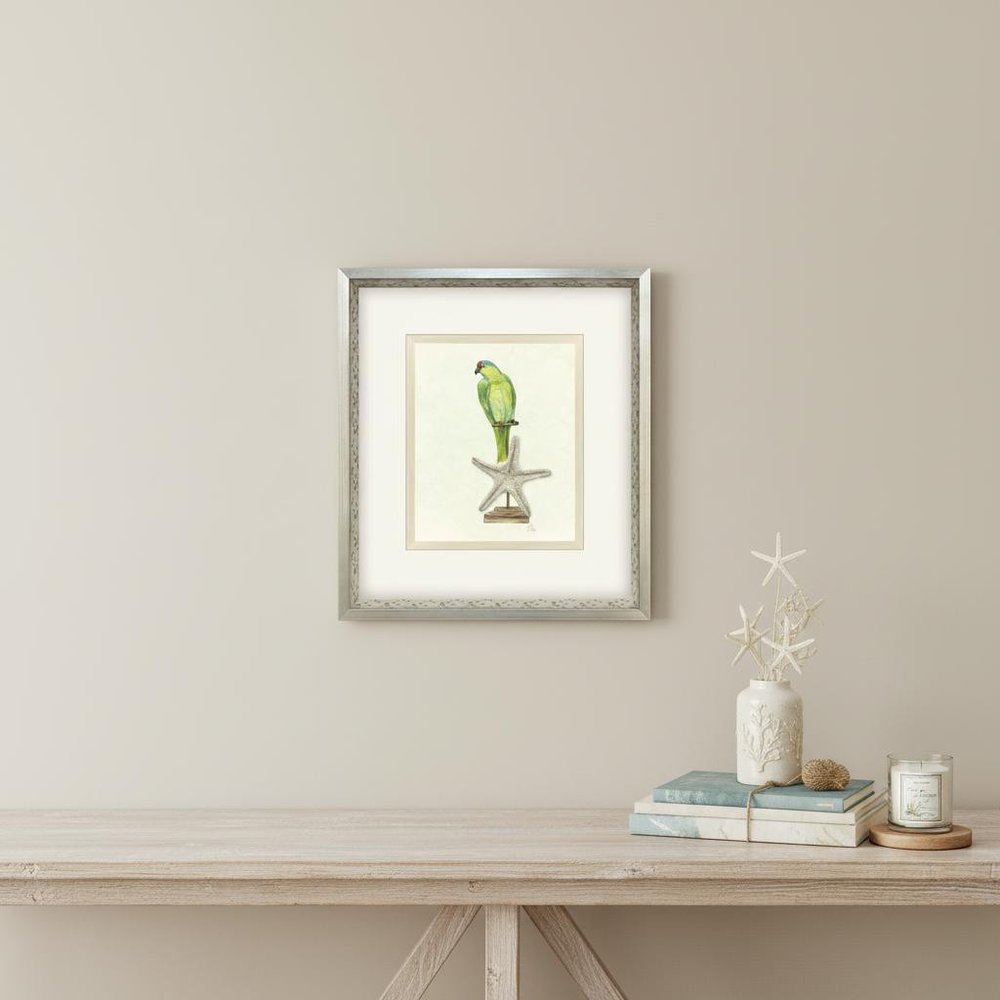 Treasure Parrot II Silver Shadowbox Illustration Wall Art HomeRoots
