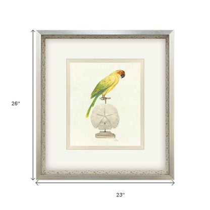 Treasure Parrot III Silver Shadowbox Illustration Wall Art HomeRoots