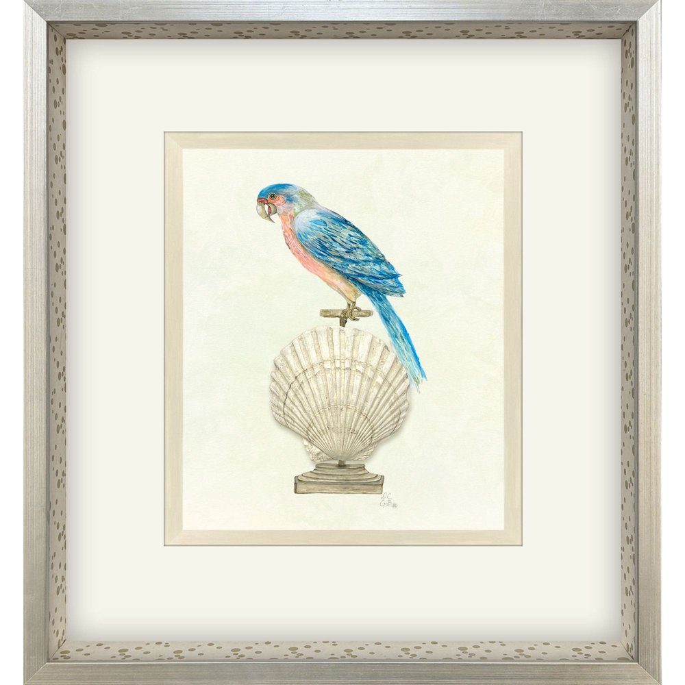 Treasure Parrot IV Silver Shadowbox Illustration Wall Art HomeRoots