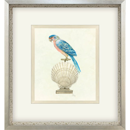 Treasure Parrot IV Silver Shadowbox Illustration Wall Art HomeRoots