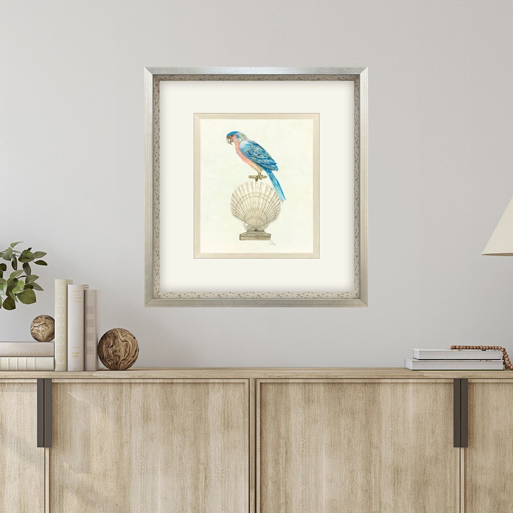Treasure Parrot IV Silver Shadowbox Illustration Wall Art HomeRoots