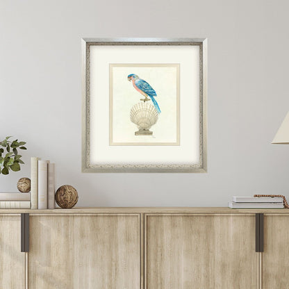Treasure Parrot IV Silver Shadowbox Illustration Wall Art HomeRoots