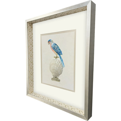 Treasure Parrot IV Silver Shadowbox Illustration Wall Art HomeRoots