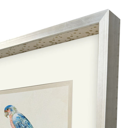 Treasure Parrot IV Silver Shadowbox Illustration Wall Art HomeRoots