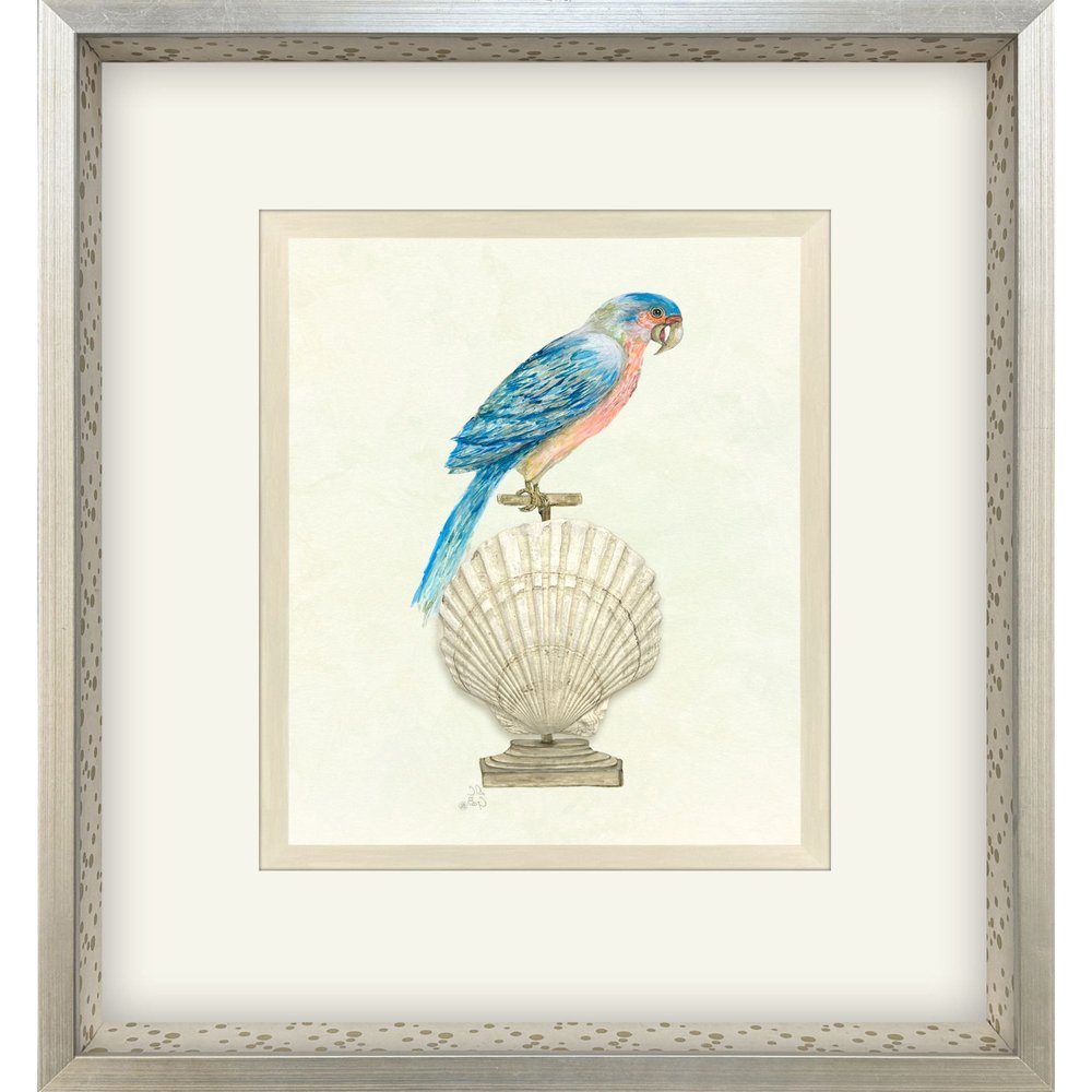 Treasure Parrot IV Silver Shadowbox Illustration Wall Art HomeRoots