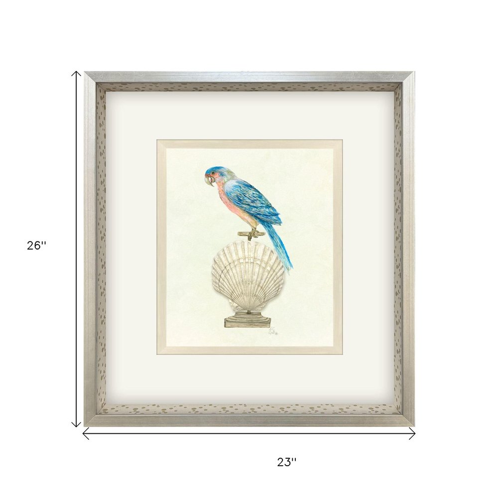 Treasure Parrot IV Silver Shadowbox Illustration Wall Art HomeRoots