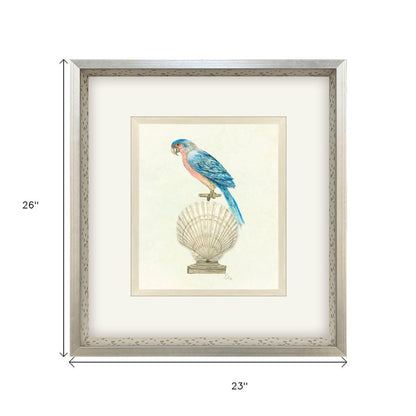 Treasure Parrot IV Silver Shadowbox Illustration Wall Art HomeRoots