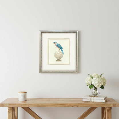 Treasure Parrot IV Silver Shadowbox Illustration Wall Art HomeRoots