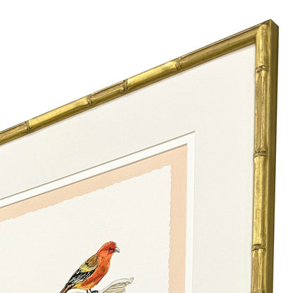 Set Of Four Bird with Shell Gold Framed Wall Art HomeRoots
